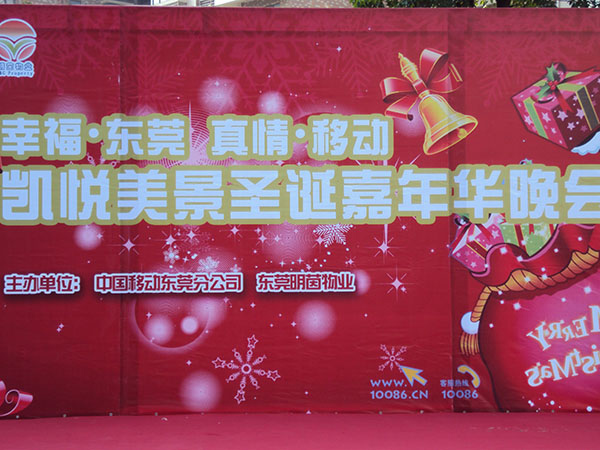 凯悦美景2011圣诞...