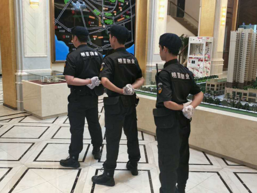 透过法国保安业立法看法国保安服务业的管理