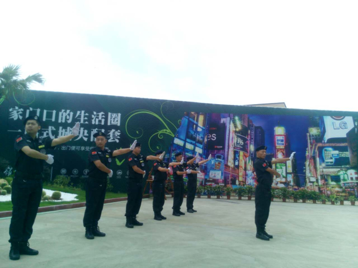 车辆指挥动作培训