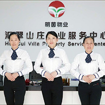 中介服务