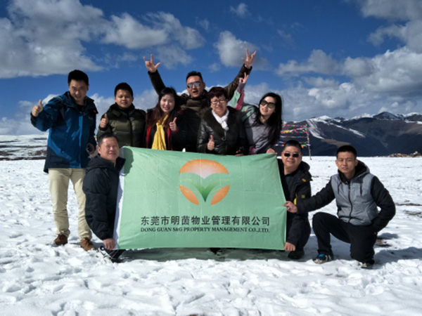 2017年员工旅游